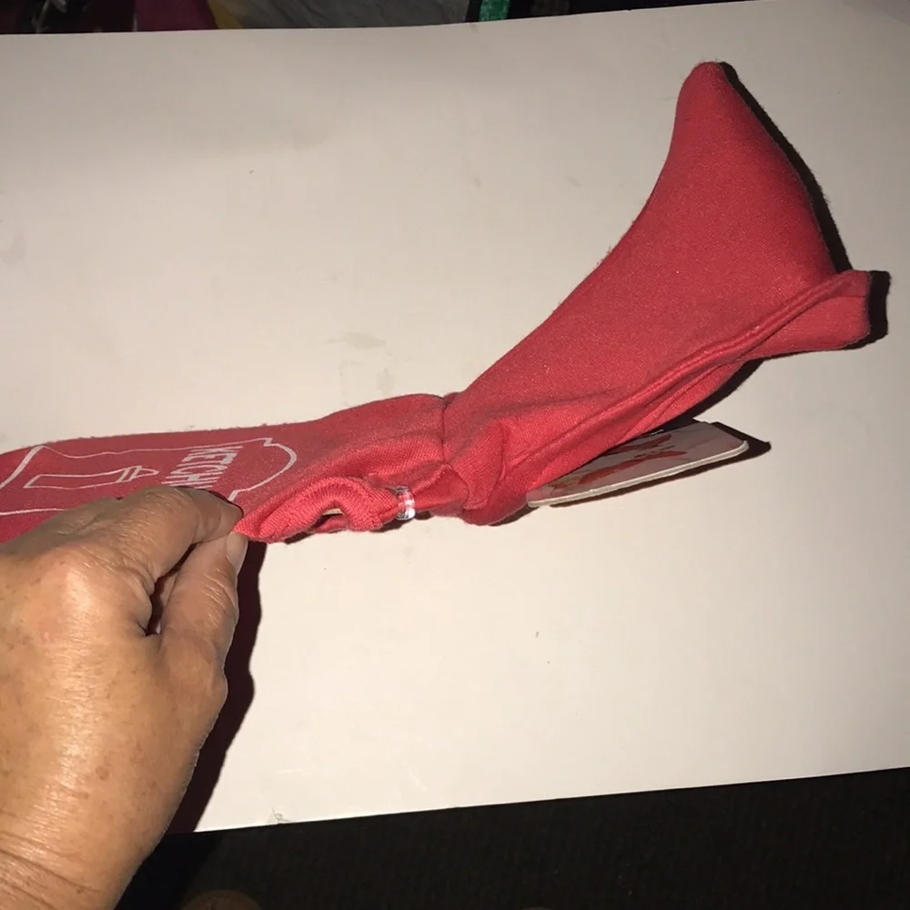 NWT Pet Ketchup Halloween Costume